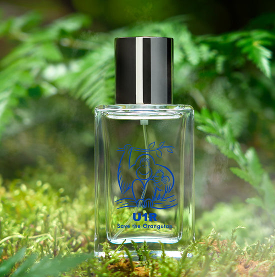 U1R　Eau de Toilette Asolo　50mL
