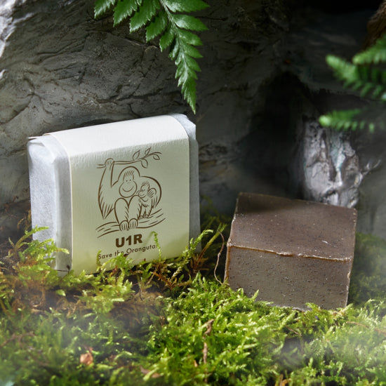 U1R　Soap